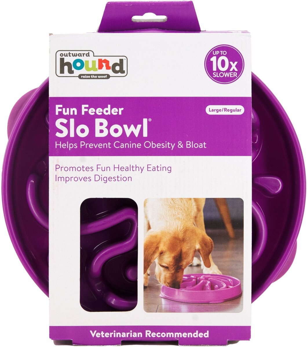 Outward Hound Fun Feeder Slo Bowl - Large 4-Cup